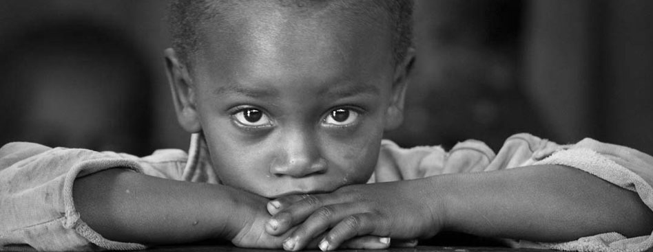 绿色轰炸工具版